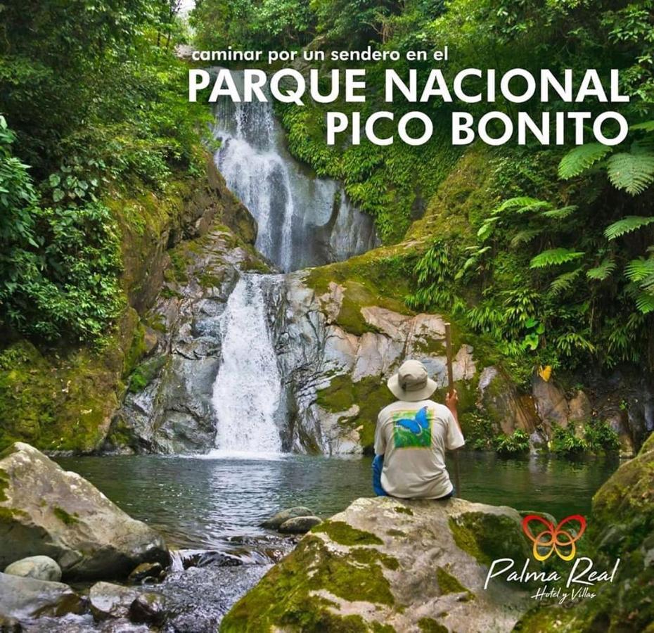 Paradise Villa in Palma Real La Ceiba Esterno foto